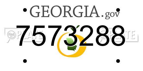 7573288 Georgia License Plate