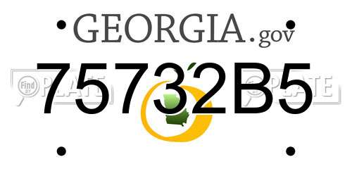 75732B5 Georgia License Plate