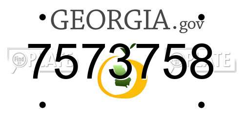 7573758 Georgia License Plate