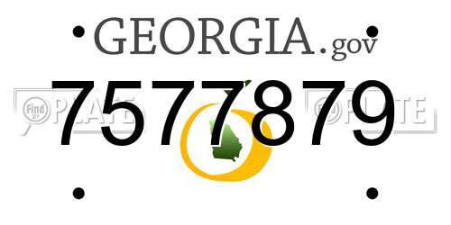 7577879 Georgia License Plate
