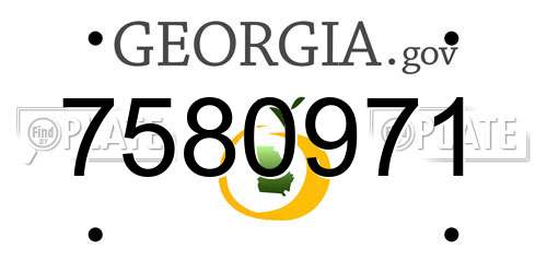 7580971 Georgia License Plate