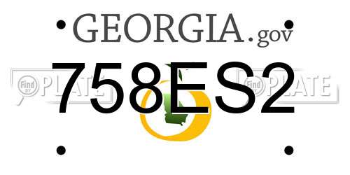 758ES2 Georgia License Plate