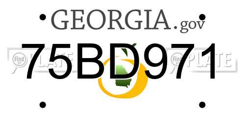 75BD971 Georgia License Plate