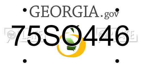 75SO446 Georgia License Plate