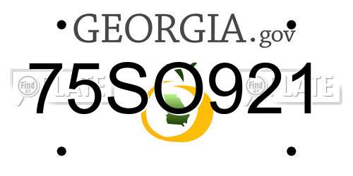 75SO921 Georgia License Plate