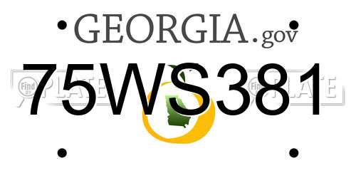 75WS381 Georgia License Plate