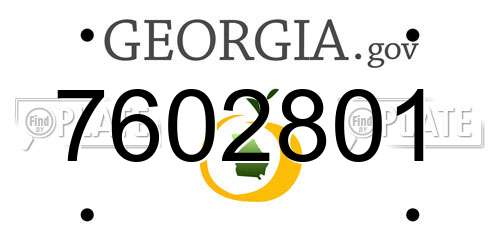 7602801 Georgia License Plate