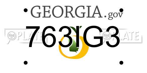 763IG3 Georgia License Plate