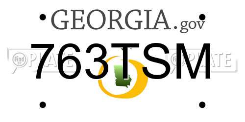 763TSM Georgia License Plate