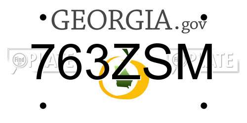 763ZSM Georgia License Plate