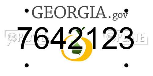 7642123 Georgia License Plate