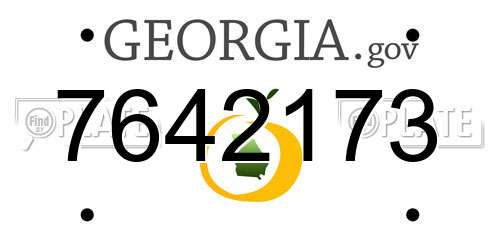 7642173 Georgia License Plate