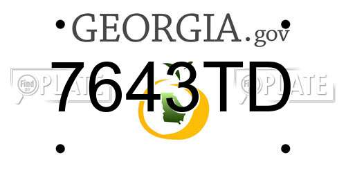 7643TD Georgia License Plate
