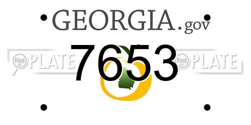 7653 Georgia License Plate