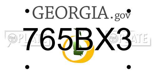 765BX3 Georgia License Plate