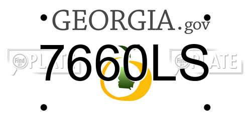 7660LS Georgia License Plate