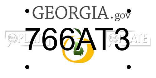 766AT3 Georgia License Plate