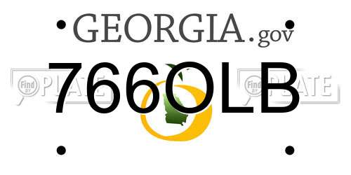 766OLB Georgia License Plate