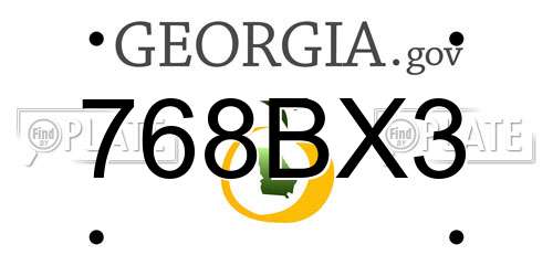 768BX3 Georgia License Plate