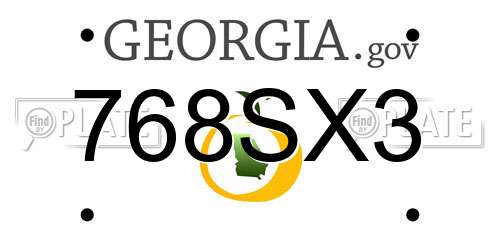 768SX3 Georgia License Plate