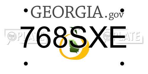 768SXE Georgia License Plate
