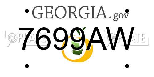 7699AW Georgia License Plate