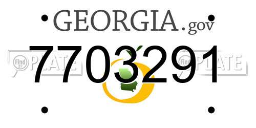 7703291 Georgia License Plate
