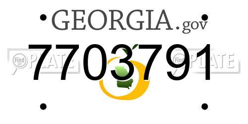 7703791 Georgia License Plate