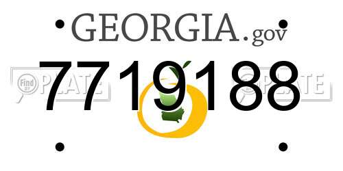 7719188 Georgia License Plate