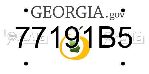 77191B5 Georgia License Plate