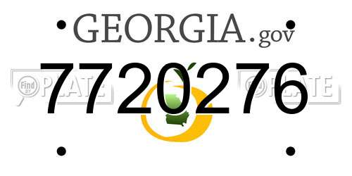 7720276 Georgia License Plate