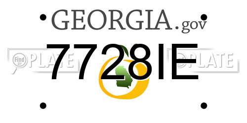 7728IE Georgia License Plate