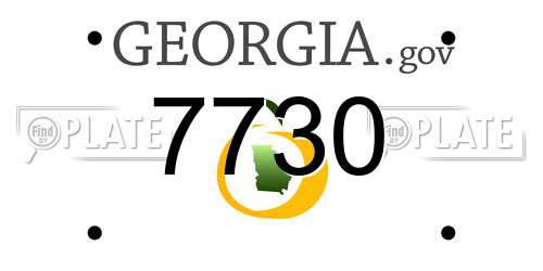 7730 Georgia License Plate