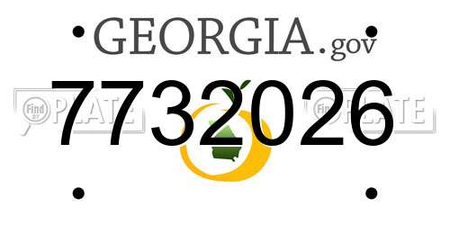 7732026 Georgia License Plate
