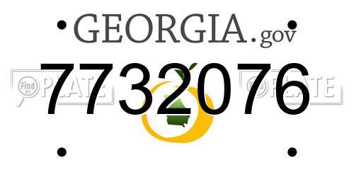 7732076 Georgia License Plate