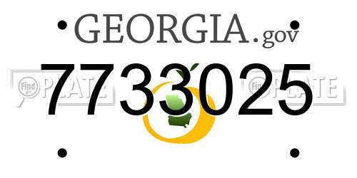 7733025 Georgia License Plate