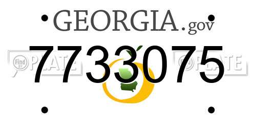 7733075 Georgia License Plate