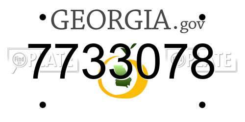 7733078 Georgia License Plate