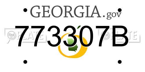 773307B Georgia License Plate