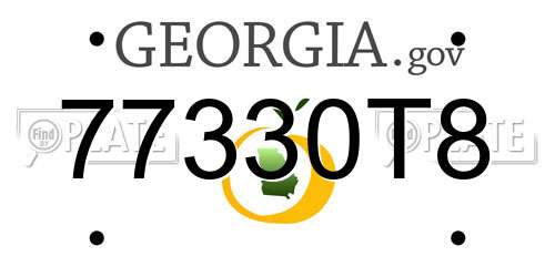77330T8 Georgia License Plate