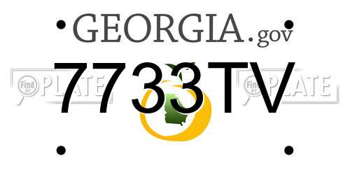 7733TV Georgia License Plate