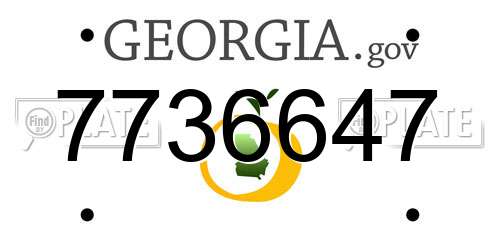 7736647 Georgia License Plate