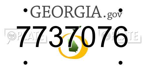 7737076 Georgia License Plate