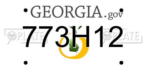 773H12 Georgia License Plate