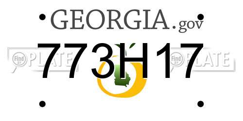 773H17 Georgia License Plate