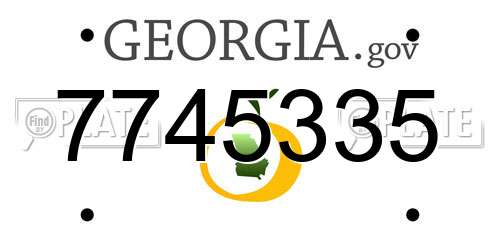 7745335 Georgia License Plate