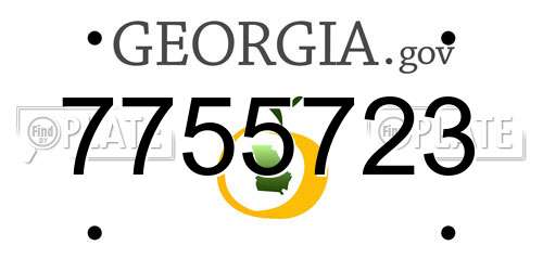7755723 Georgia License Plate