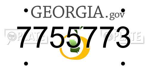 7755773 Georgia License Plate