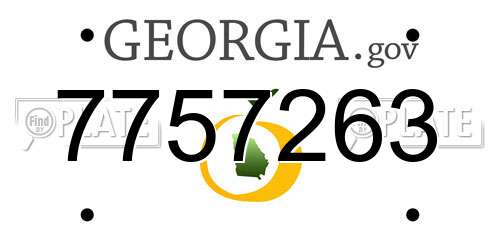 7757263 Georgia License Plate