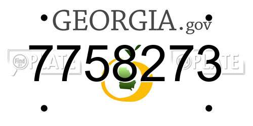 7758273 Georgia License Plate